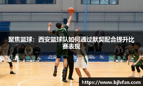 雷火竞技官方网站